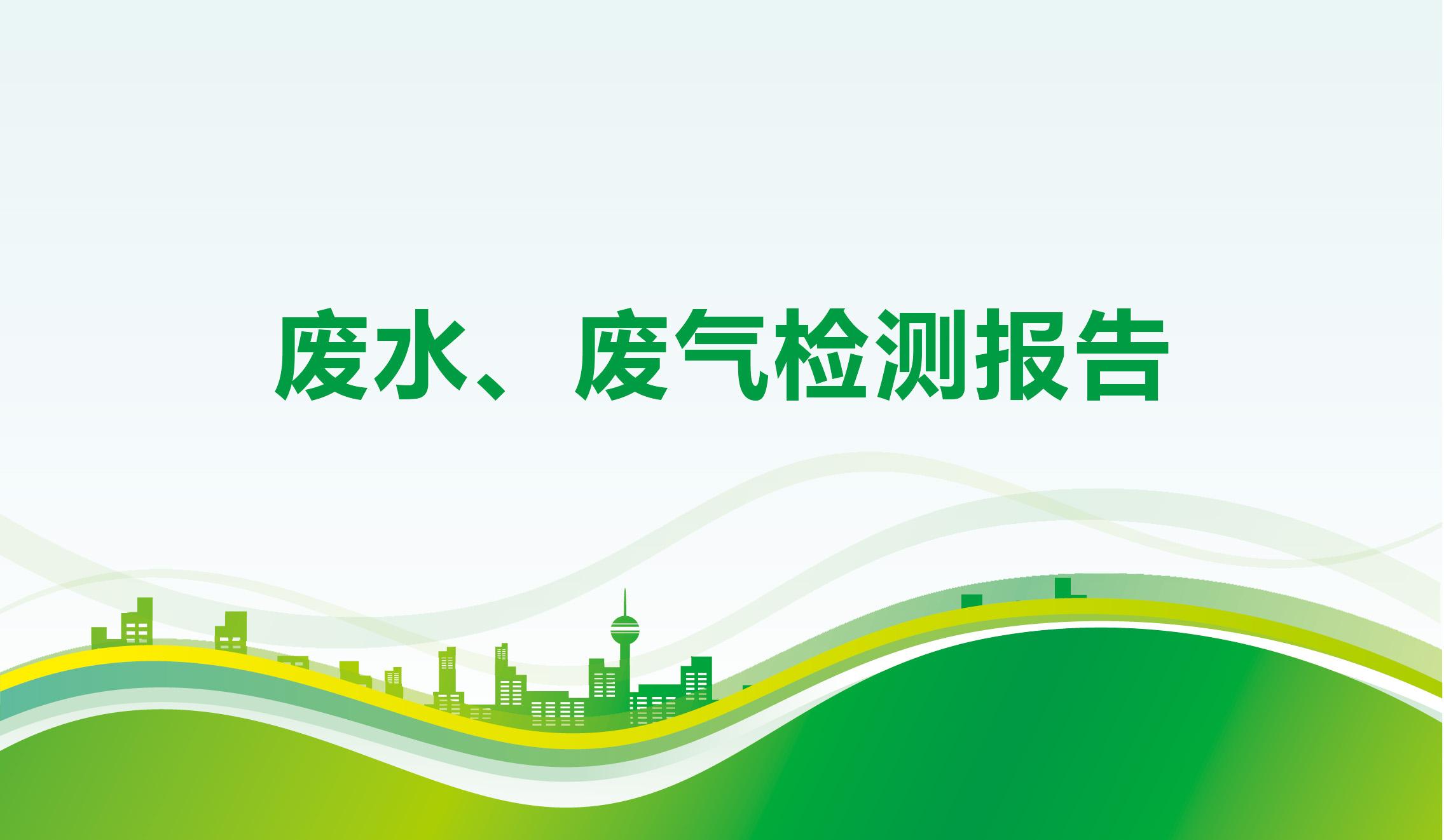 废水、废气检测报告-海一